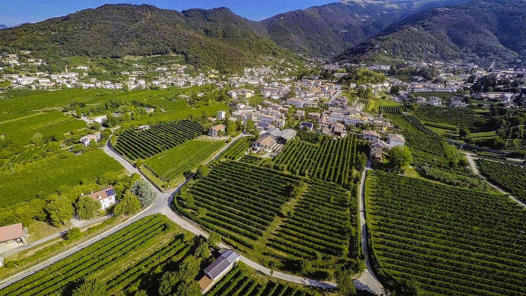 Valdobbiadene Prosecco Extra Dry Bio - domaine