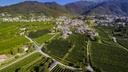 Vino Frizzante Legatura Spago - domaine