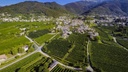 Vino Frizzante Legatura Spago - domaine