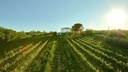 Villamagna Riserva - domaine