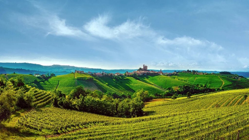 Stërmà Nebbiolo d'Alba - domaine