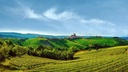 Aculei Barolo - domaine