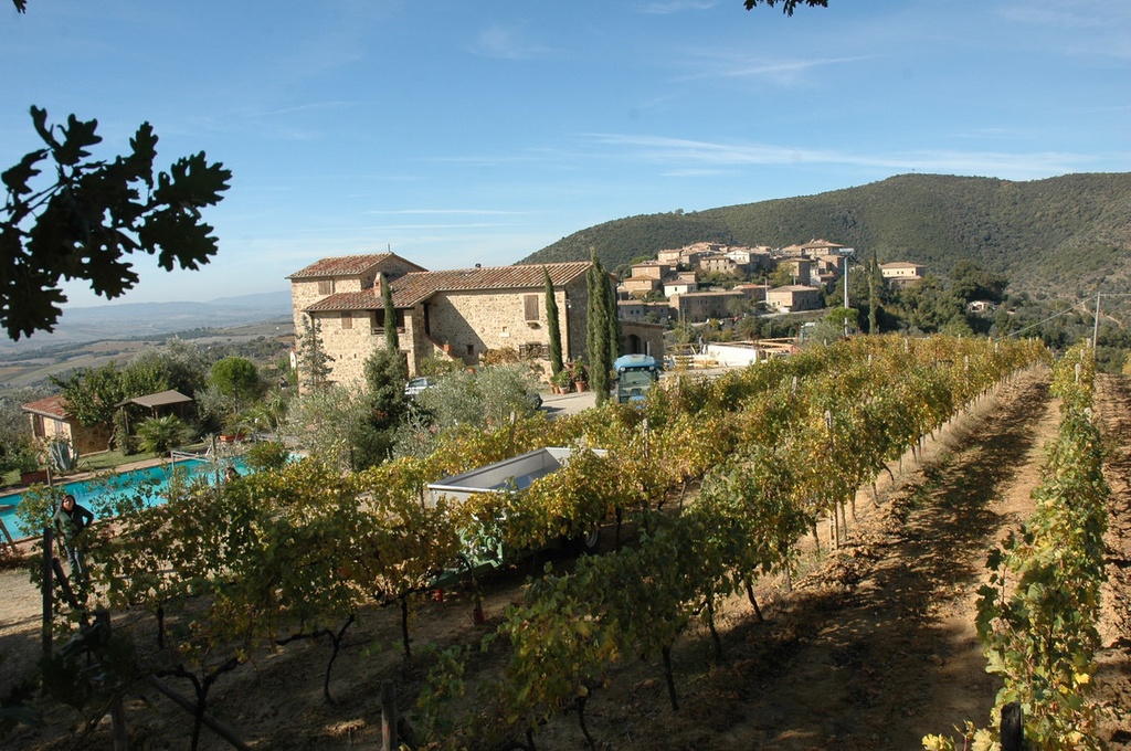 Sant'Antimo Rosso - domaine