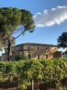 Terra Rossa - domaine