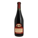 Corte Badin - Recioto della Valpolicella classico