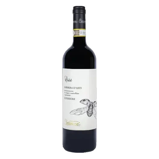 Ciot - Barbera d'Asti DOCG